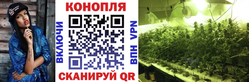 закладки  Суворов  блэк спрут онион  Канабис ГИДРОПОН 